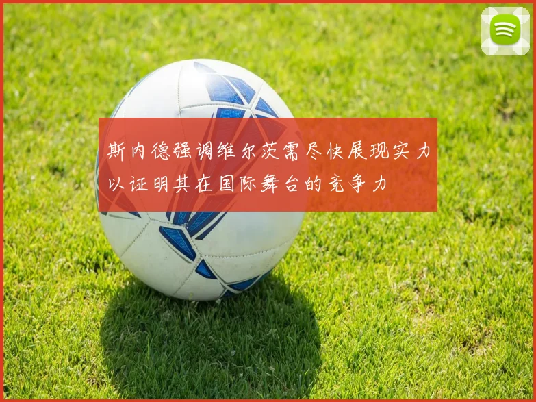 斯内德强调维尔茨需尽快展现实力以证明其在国际舞台的竞争力