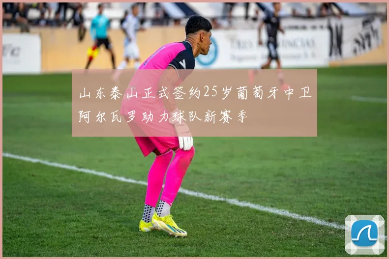 山东泰山正式签约25岁葡萄牙中卫阿尔瓦罗助力球队新赛季