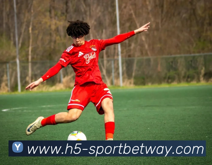 多媒体互动体验