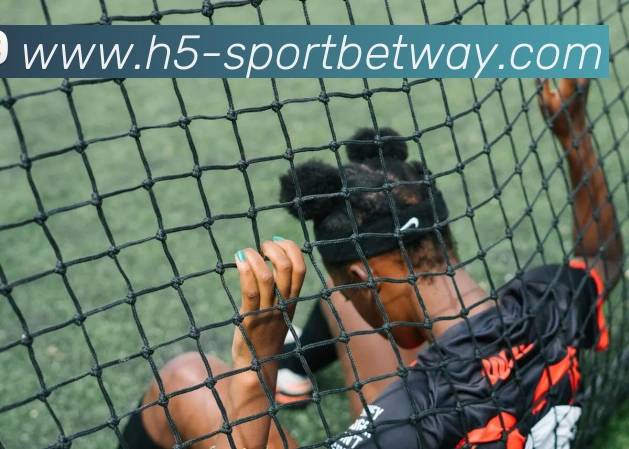 必威体育APP 高清赛事图